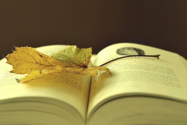 Jesienna estetyka z książkami