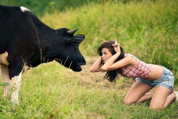 Fille de s amuser dans la Prairie avec la vache