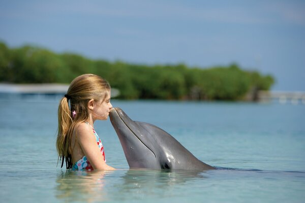 A child made friends with a dolphin on Paradise Island