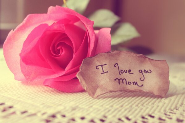 A pink rose next to a note on the table