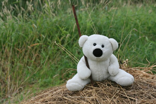 Caminar con un oso blanco en la hierba del Prado