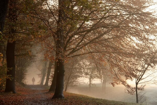 Poranna mgła w jesiennym parku i widoczna sylwetka samotnego mężczyzny idącego ścieżką
