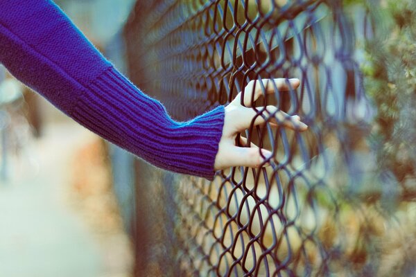 A girl s hand in a fence net