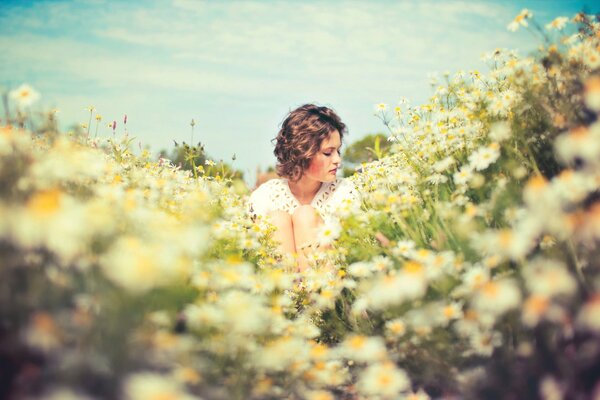 Chica en un campo de manzanilla, en el fondo del cielo de verano