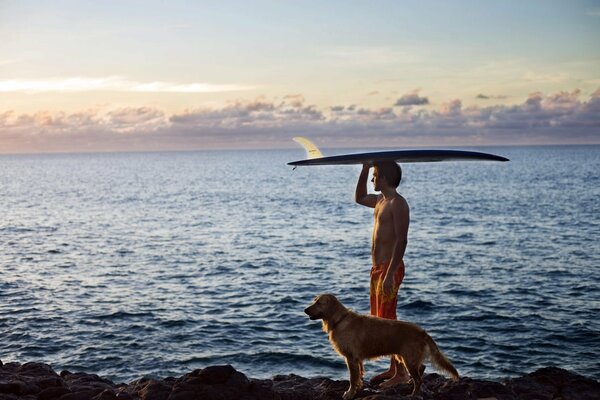 Un hombre y un perro se encuentran con el amanecer en la orilla del mar