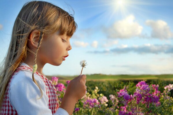 Beautiful girl on the summer field