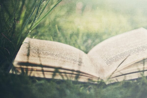 An open book is lying on the grass