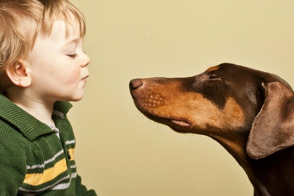 Amistad de un niño con un perro. Buen humor