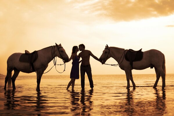 Ramontic evening on horseback in the sunset