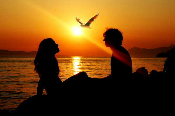 Pareja junto al mar con una hermosa puesta de sol y una gaviota