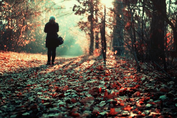 Chica solitaria en el parque de otoño