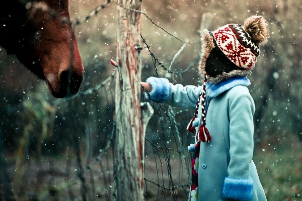 La ragazza vuole accarezzare il cavallo attraverso la recinzione