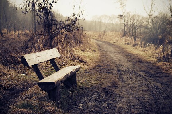 Banc en bois sur une route brumeuse