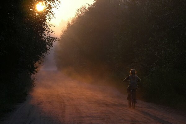 Fille sur le vélo dans la forêt du matin