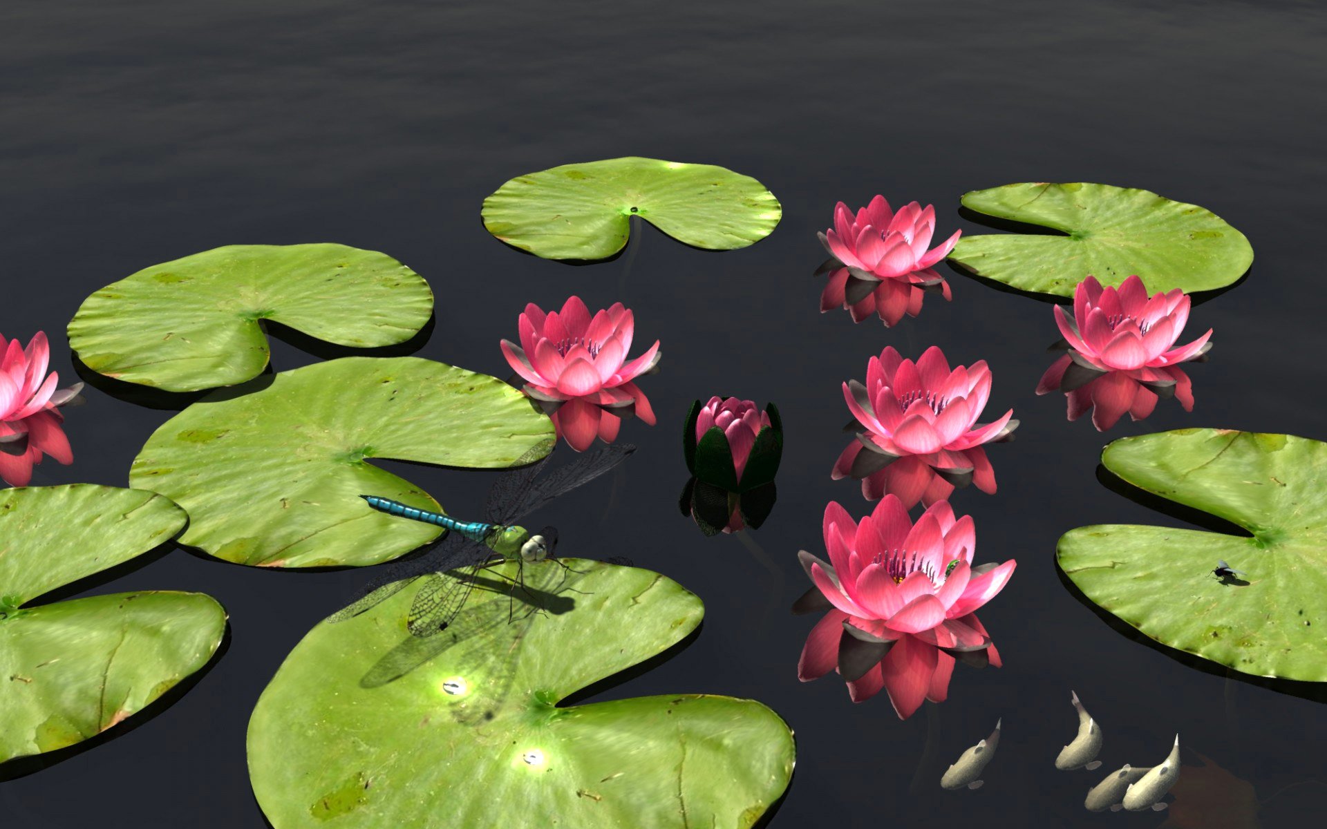 natur teich blumen blätter fische libelle