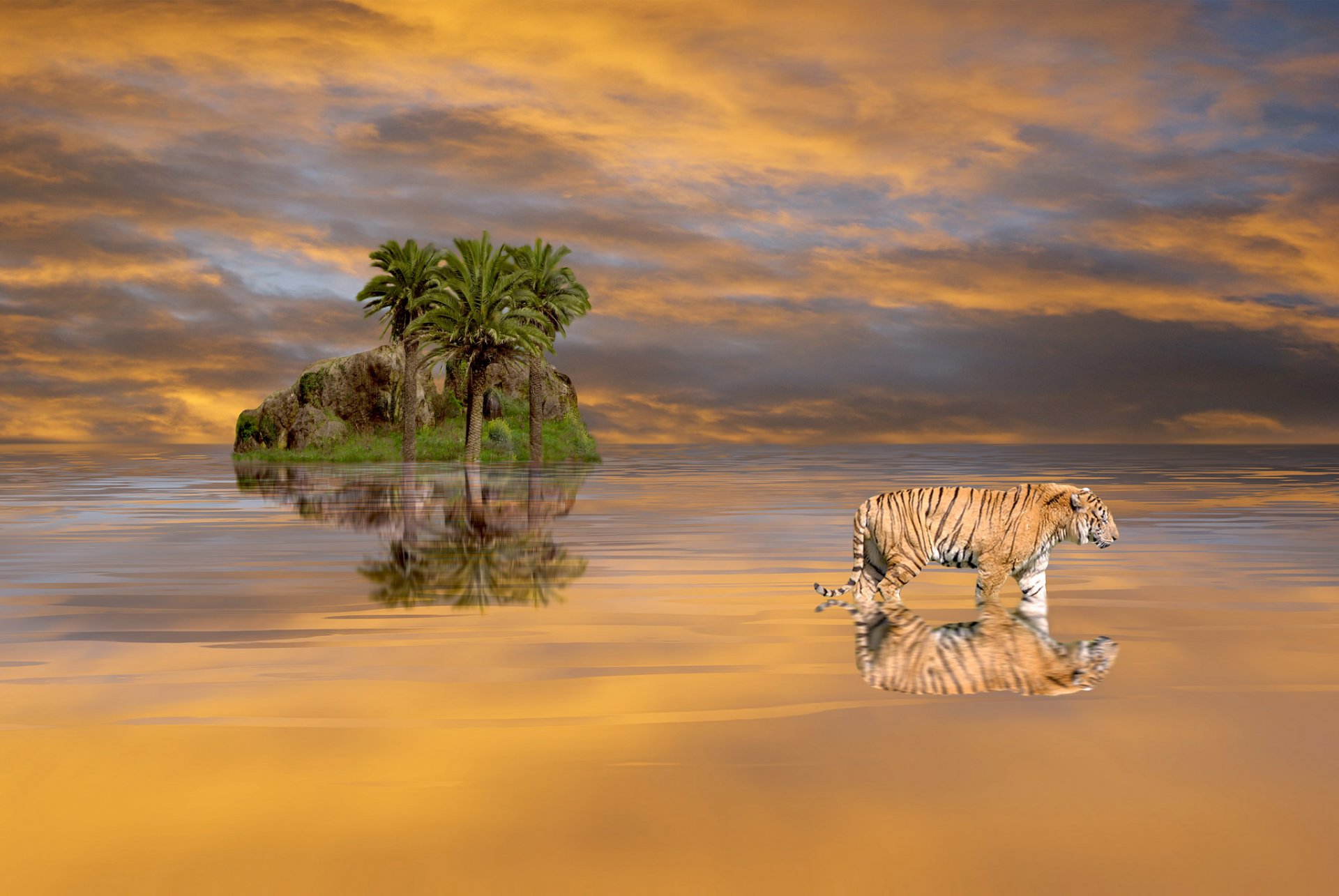 le paysage la nature le tigre les palmiers la roche l eau le ciel les nuages