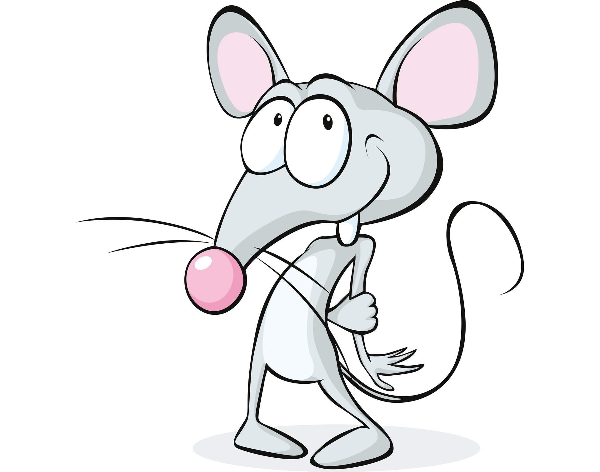 3d white background mouse confusion mice confusion