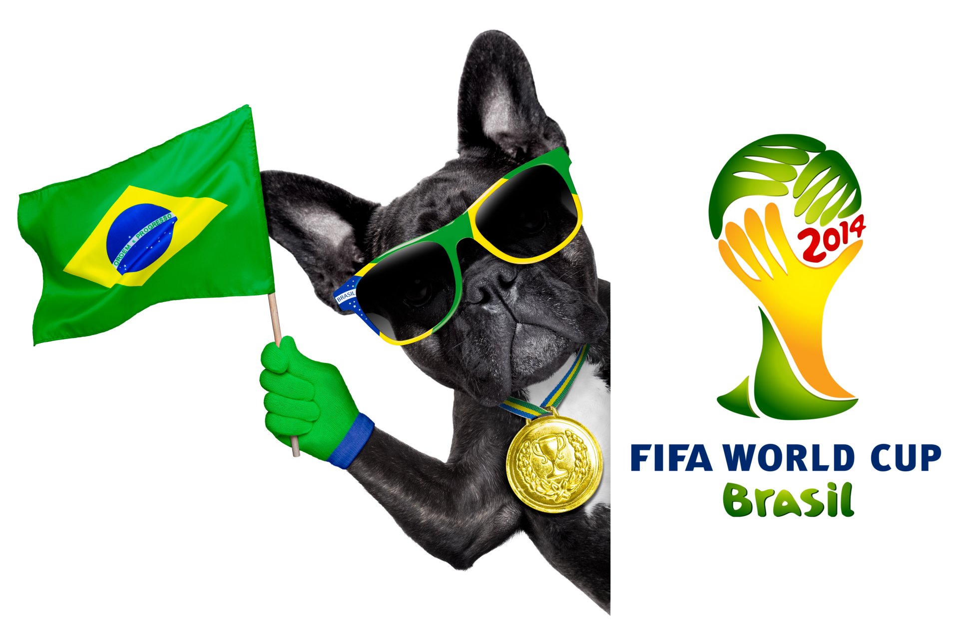 le brésil la fifa la coupe du monde 2014 football drapeau logo un chien c est cool