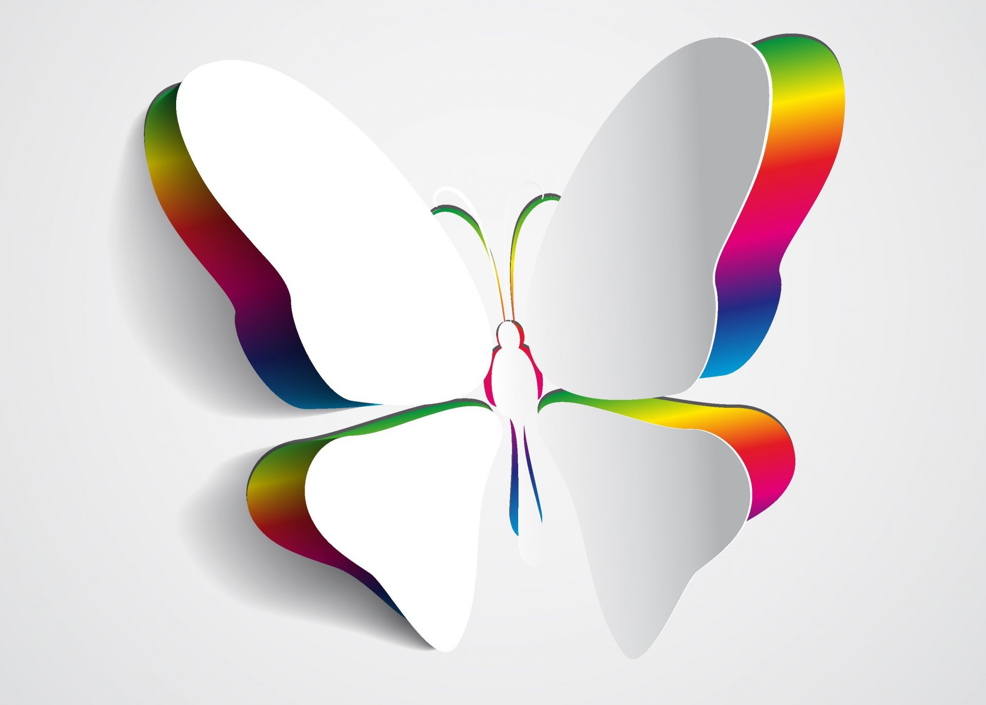 3d butterfly wings flowers background