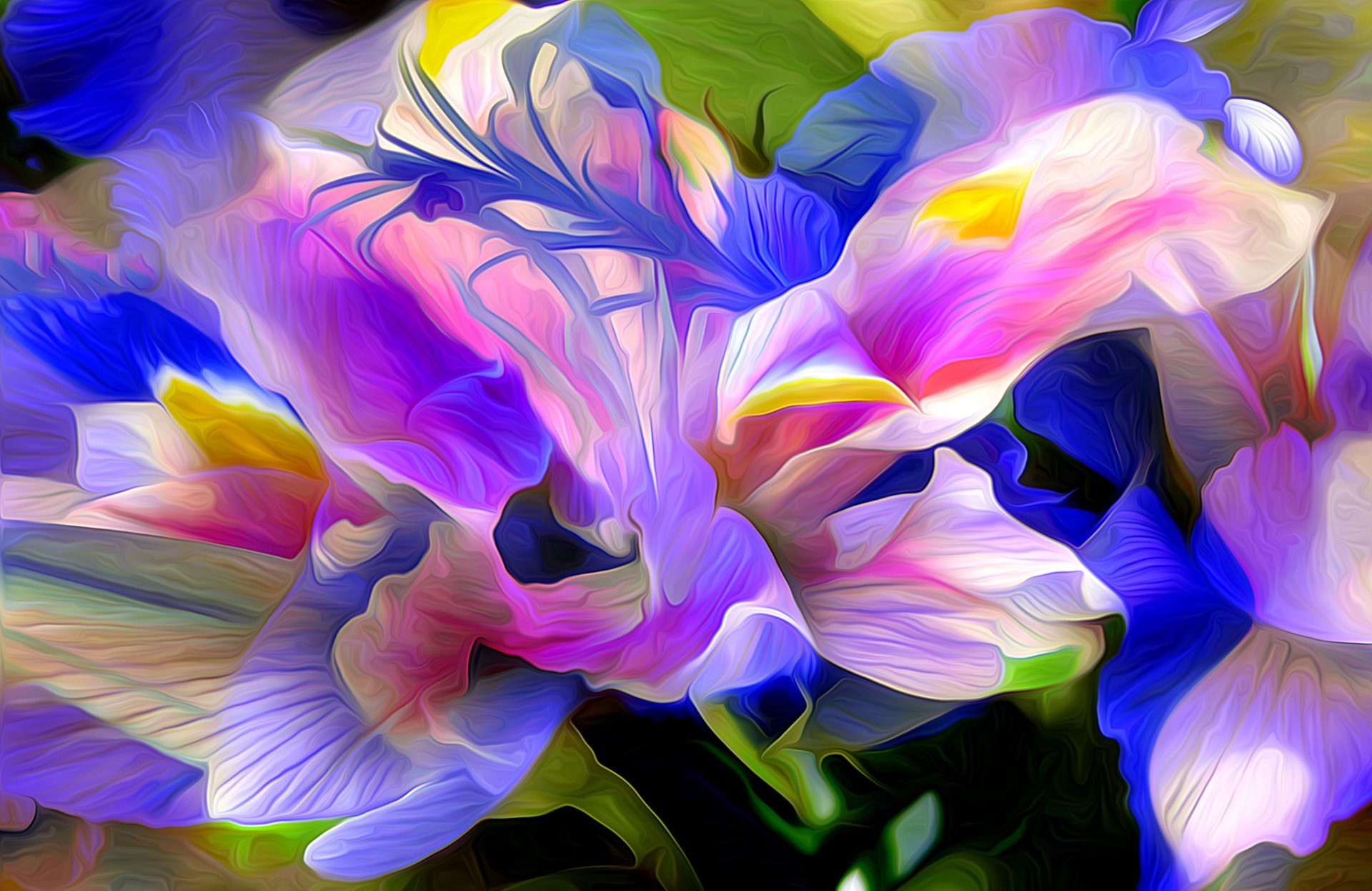 flower petals nature plant abstract