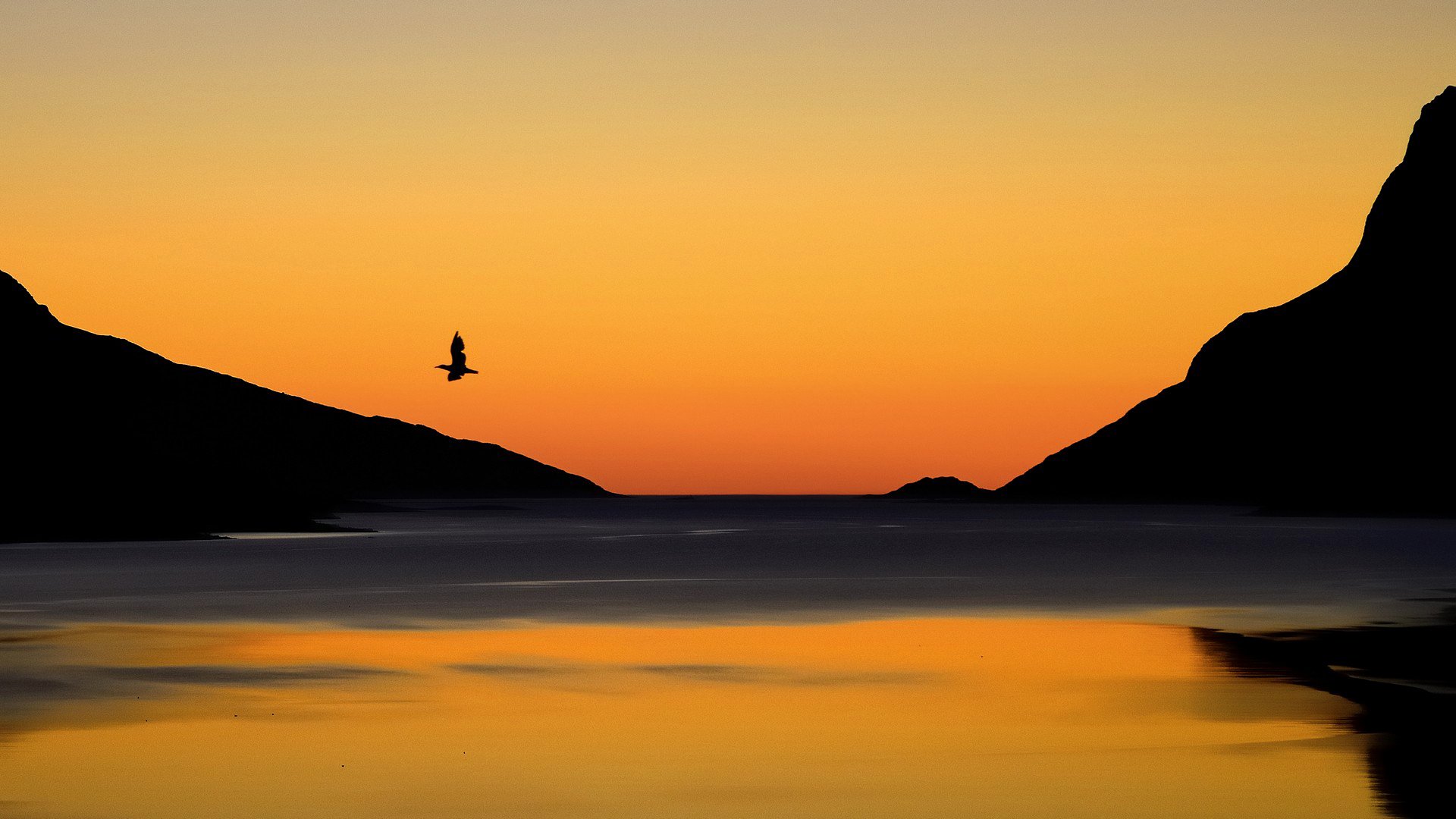 landschaft himmel berge see vogel sonnenuntergang