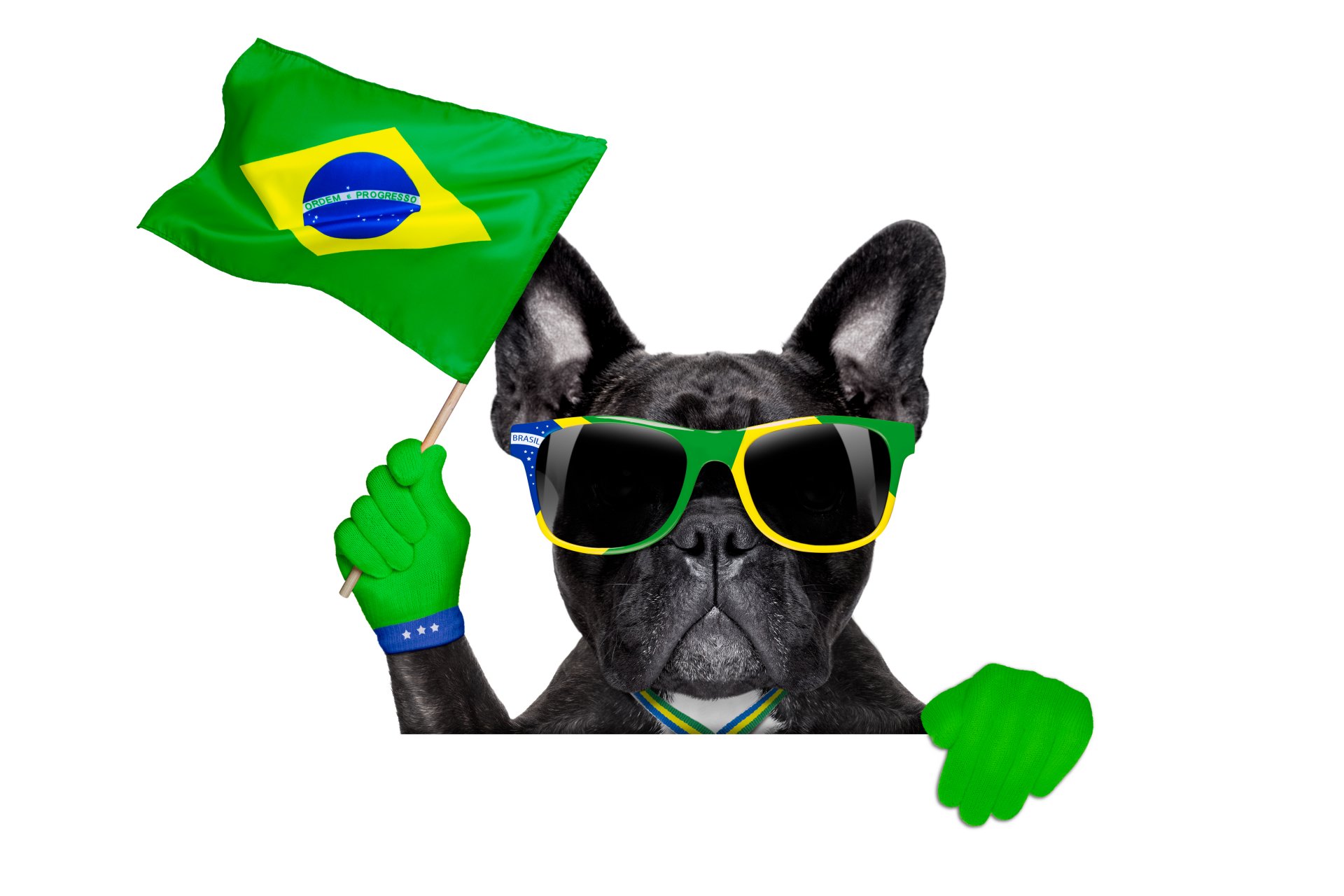 brazil fifa world cup 2014 soccer flag logo dog cool glasse