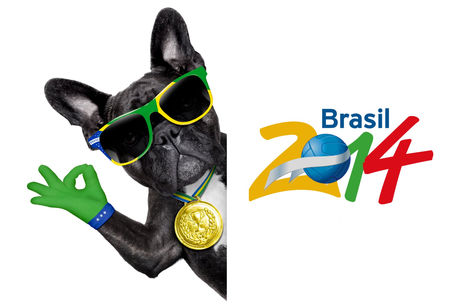 brasilien fifa wm 2014 fußball flagge logo hund cool