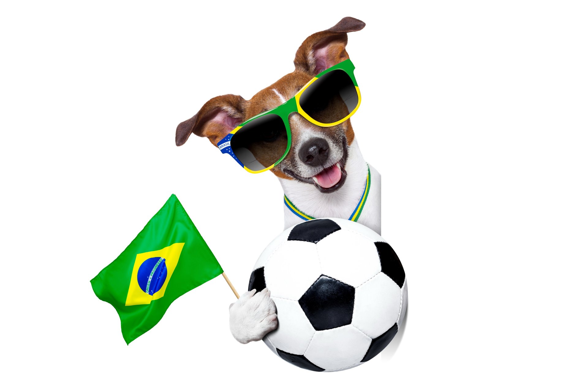 brasilien fifa wm 2014 fußball flagge logo hund cool brille