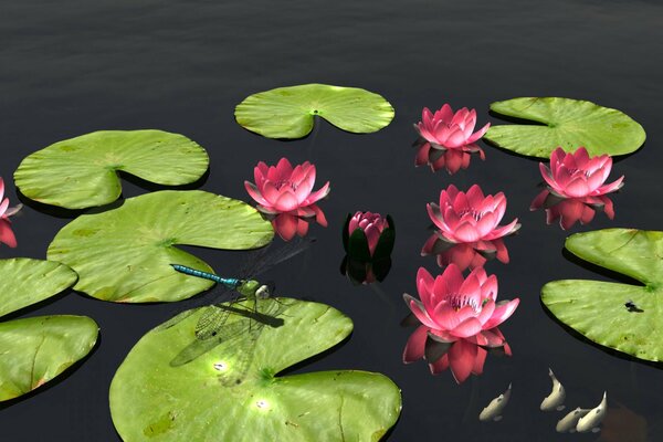 Wasserfläche mit Blättern, Blüten und Libellen