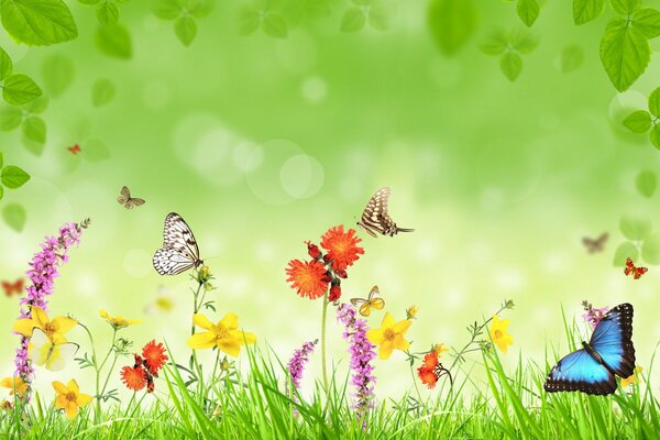 Луг с цветами, бабочками и травкой зеленой