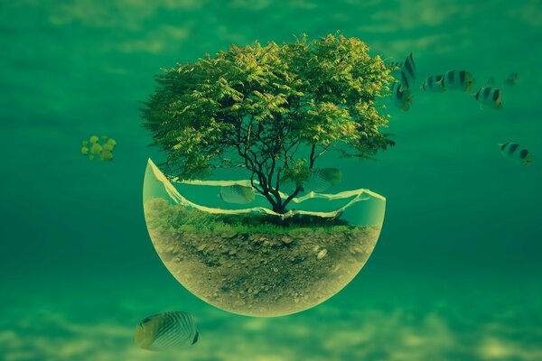 A tree growing in a fragment under water