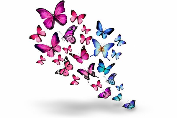 Mariposas rosa y azul en 3d