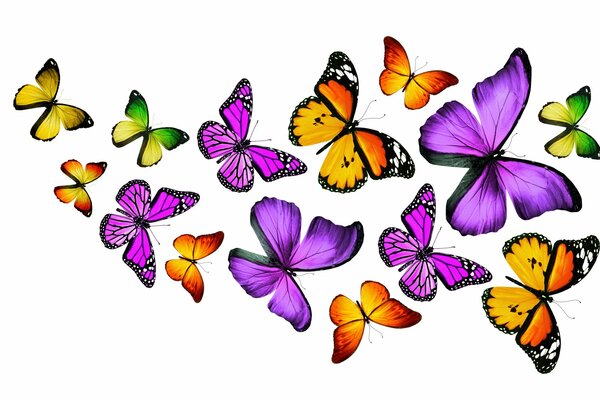 Colorful voluminous butterflies on a white background