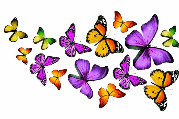 Coloridas mariposas volumétricas sobre fondo blanco