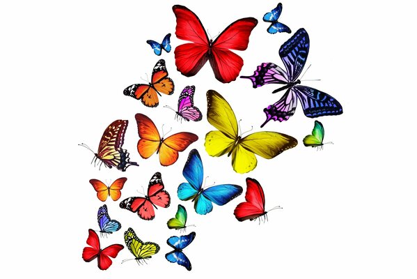 Разноцветные яркие бабочки 3d