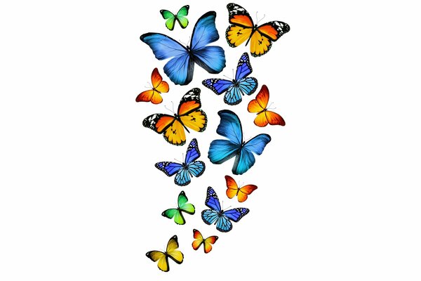 Un vol de papillons multicolores sur fond blanc