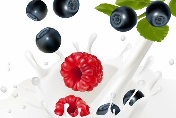 Baies de myrtille aux framboises dans les éclaboussures de lait