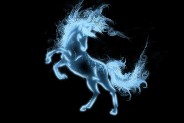 The horse is illusory on a black background