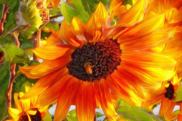 A bee on a large orange flower