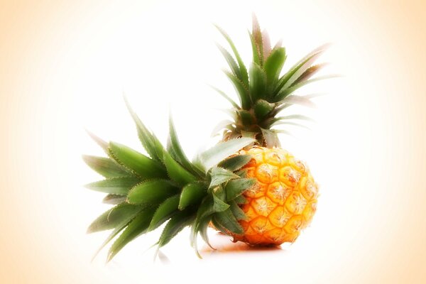 Large pineapples on a bright background