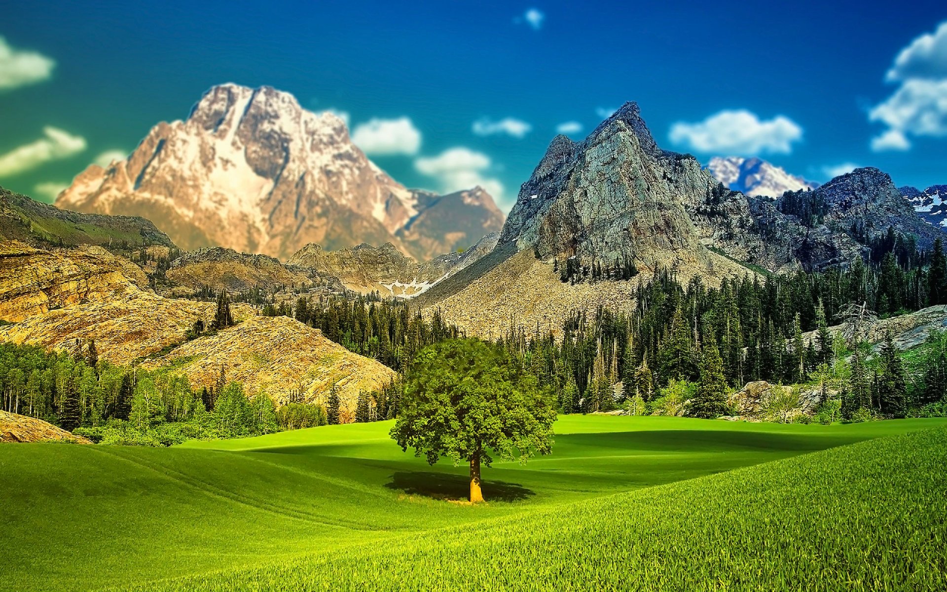 paesaggio cielo montagne valle alberi erba