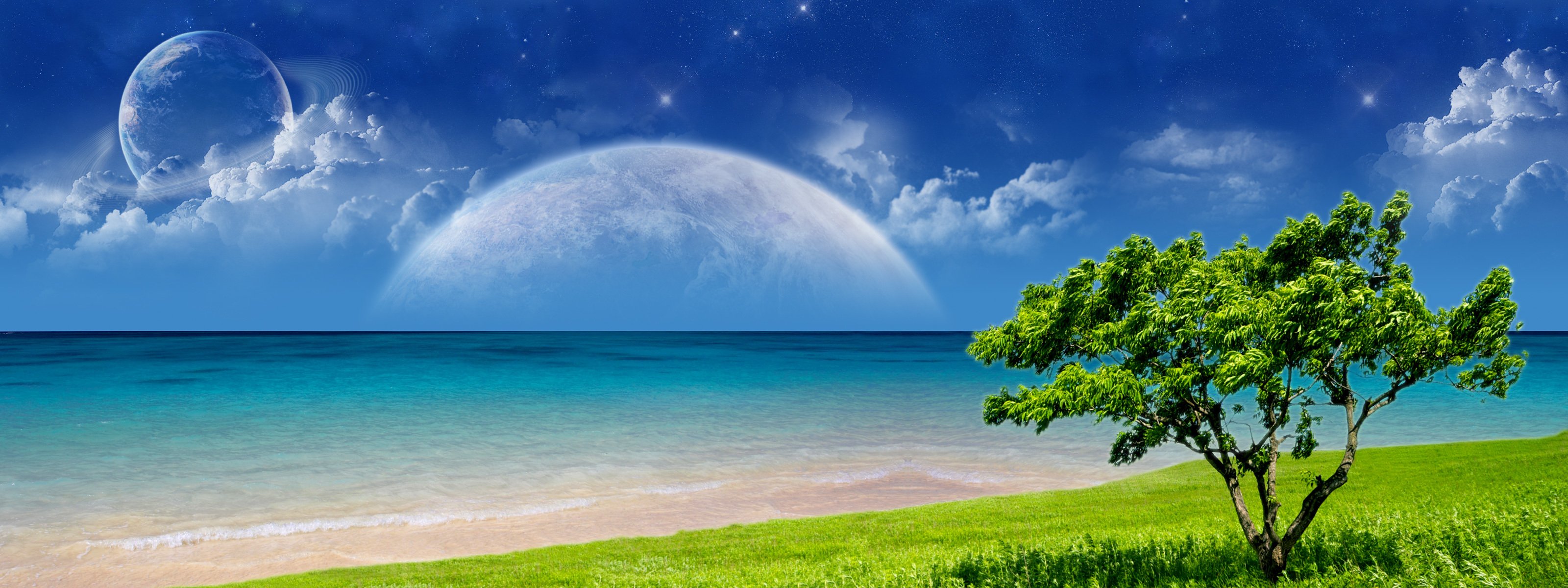 ocean plaża drzewo trawa niebo chmury planety