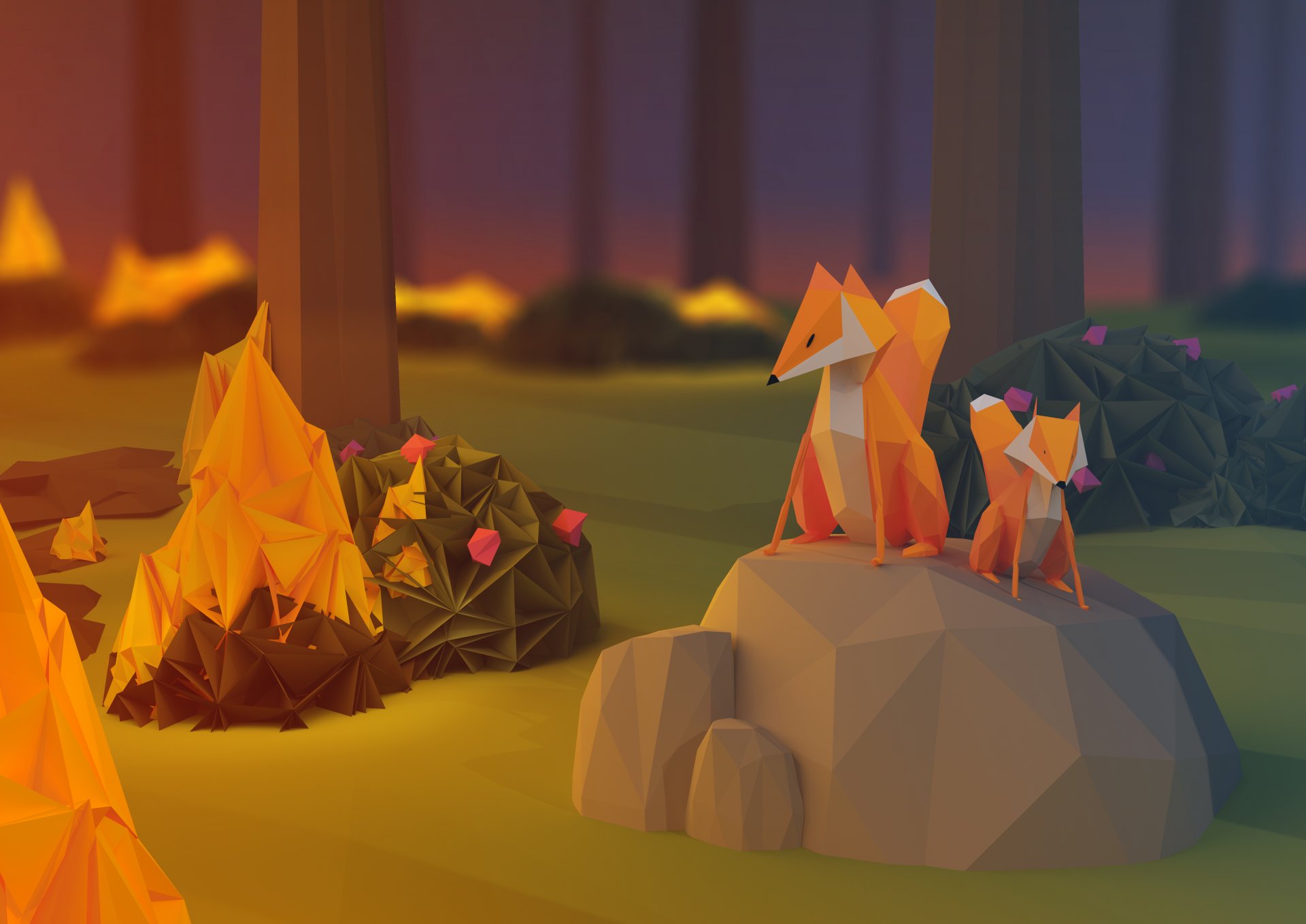 foxes fire fire forest evening