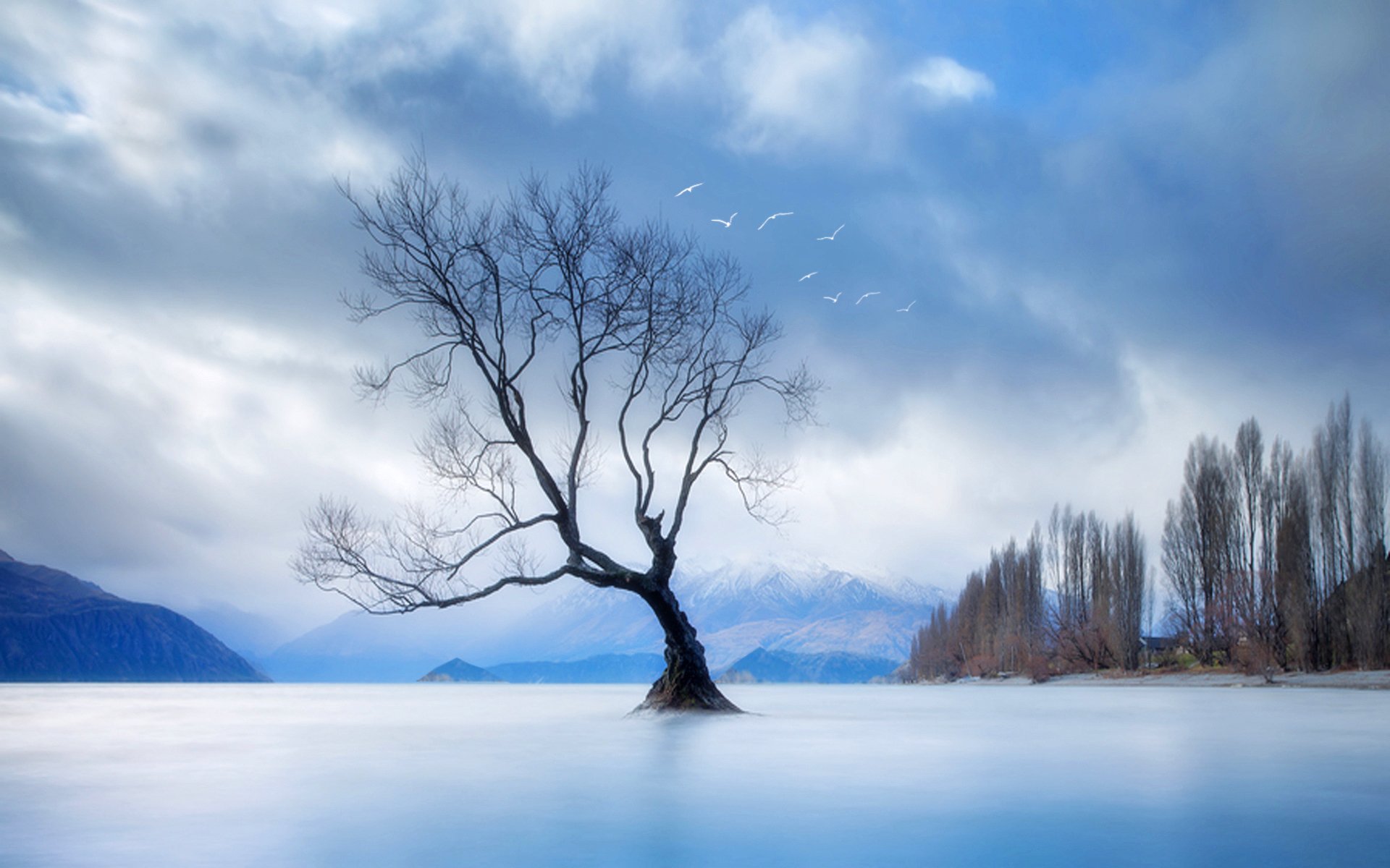 landscape nature tree mountain birds sky cloud