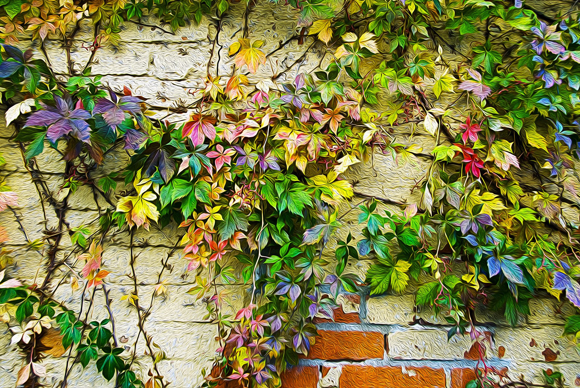 blätter efeu wand herbst farbe farben muster