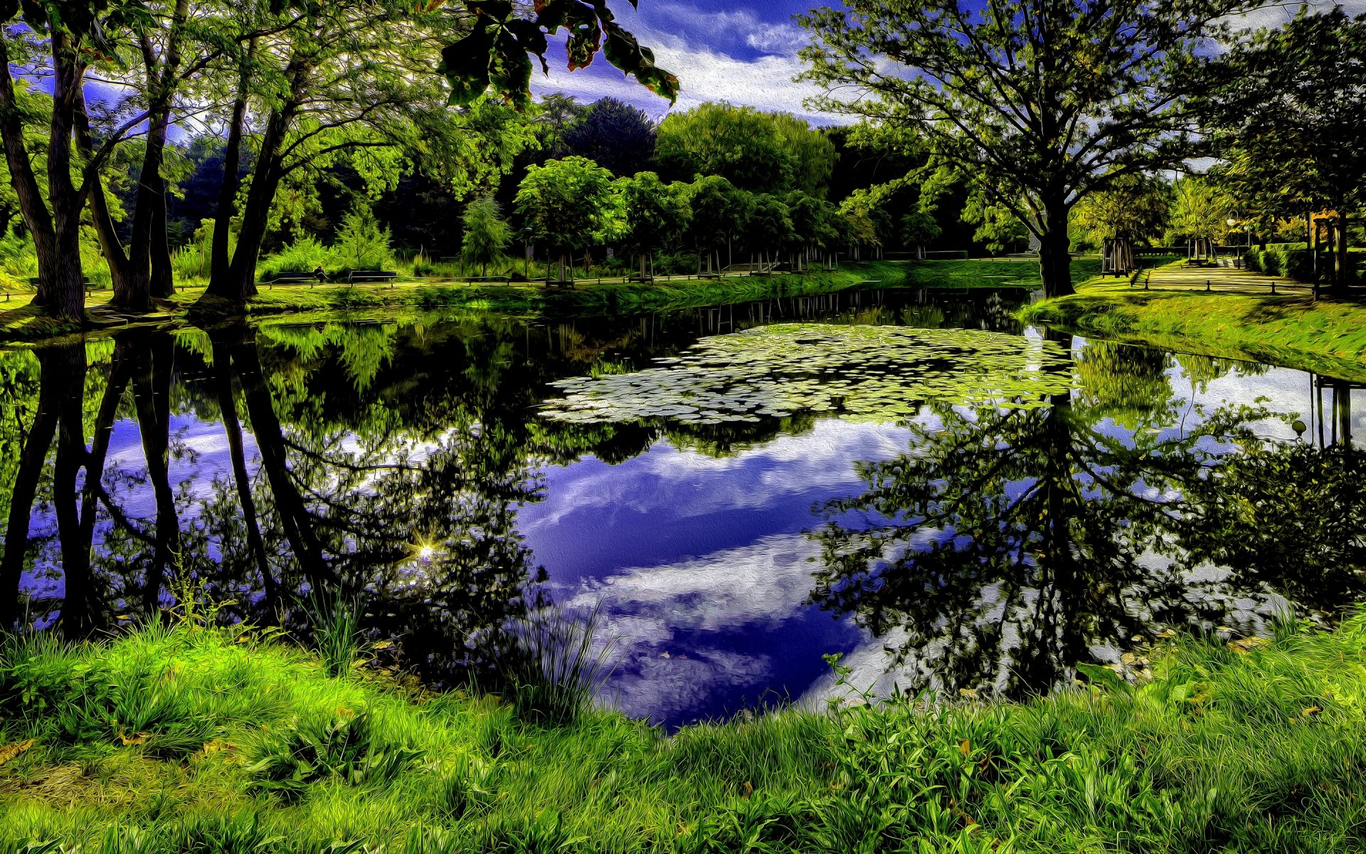 naturaleza árboles hierba cielo nubes estanque