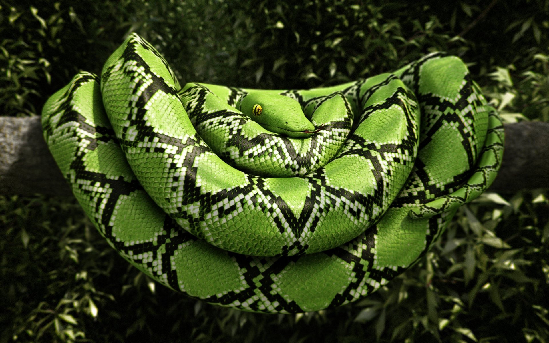 render serpiente reptil verde árbol hojas