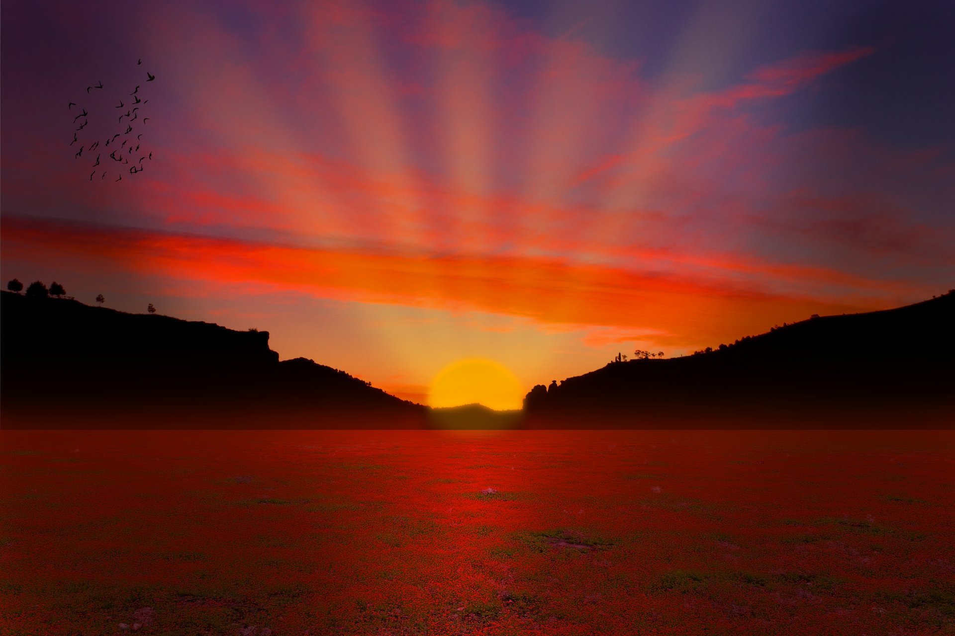 coucher de soleil soleil rayons les oiseaux la clairière les montagnes les arbres le ciel