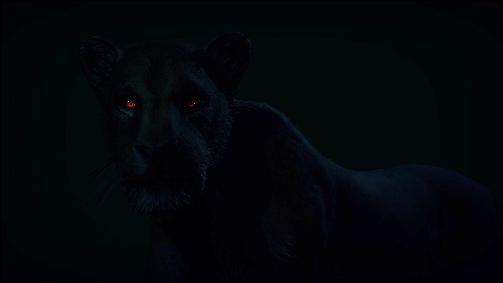 animals predator panther red eyes view black