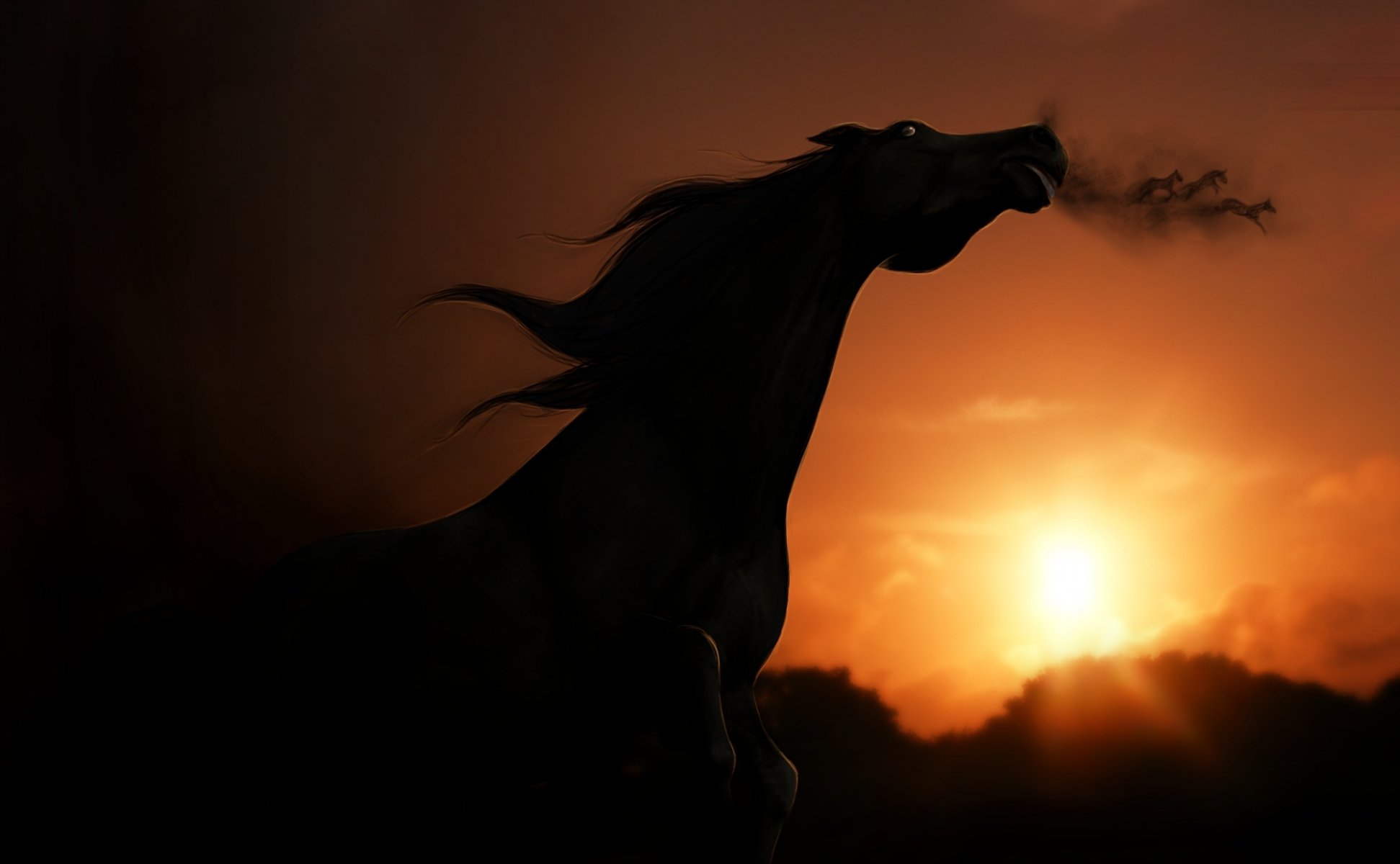 rendu cheval ombre vue coucher de soleil ciel